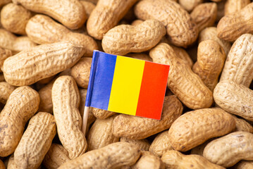 Sticker - Flag of Romania on peanut. Unpeeled peanuts with flag of Romania, origin of nuts, agribusiness