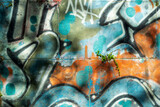 Fototapeta Młodzieżowe - Plantes et graffitis sur les murs de la ville