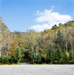 Wall Mural - Path to the mountain in the early autumn