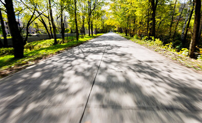 Canvas Print - Empty road in motion blur