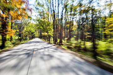 Poster - Empty road in motion blur