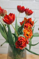 Red bouquet of tulips in a vase. Spring background with a bouquet of flowers. Top view