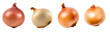 onion isolated on a transparent PNG background, white background, Generative Ai