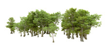 Green Forest Isolated On Background. 3d Rendering - Illustration