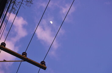 Wall Mural - electric pole and cable line with half moon background in blue evening sky