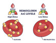 Hemoglobin A1C test levels with red blood cell and glucose outline diagram. Labeled educational scheme with diabetes or prediabetes checkup principles and low or high results vector illustration