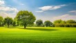 a sunny green field with sky background with trees in the style of blurred shaped canvas modern tranquil gardenscapes landscape focused light filled