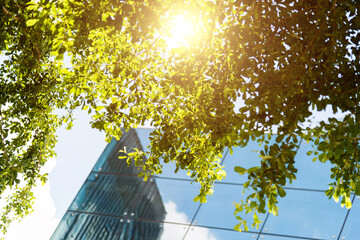 Wall Mural - Clouds reflected in modern office building wall