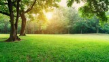 Fototapeta Las - green lawn and trees background with copyspace nature background concept generative ai