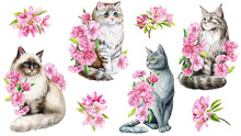 Set Of Cute Cat And Pink Apple Flowers, Sakura. Watercolor Painting Illustration, Spring Animal For Design, Poster, Card