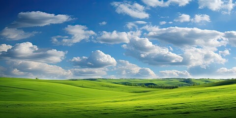 Wall Mural - Landscape captures essence of vibrant summer day in countryside. Expansive field dressed in lush greenery stretches out under vast blue sky adorned with fluffy white clouds