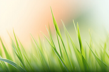 Wallpaper with macro grass on blurred pastel background, concept design, free space. Light shades, freshness Spring banner for easter, Natural and organic products.