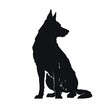 © Marharyta Tsapenko - German shepherd silhouette isolated on white background.