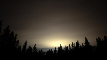 Wall Mural - a night sky time lapse of white and gray clouds moving above a foreground of silhouettes of spruce a