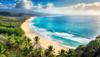 Wall Mural - tropical beach