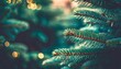 beautiful christmas background with green fir tree brunch close up copy space trendy moody dark toned design for seasonal quotes vintage december wallpaper natural winter holiday forest backdrop