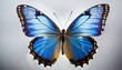 beautiful blue butterfly on a white background generative ai