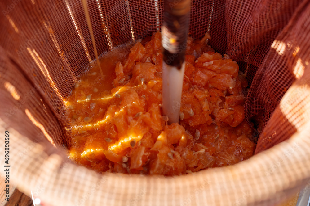 Orange Pulp in Juicer Stock Photo | Adobe Stock