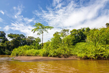 Boat Trip From Tortuguero National Park Canals (Costa Rica)