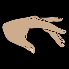 Poster - Human female hand with open fingers in elegant gesture. Cartoon style. On black background.