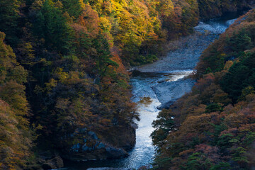 日本の風景・秋　栃木県日光市　紅葉の鬼怒川温泉