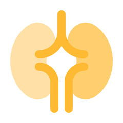 Wall Mural - kidney