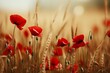 Contrasting poppy flowers on soft bokeh background with copy space for text placement