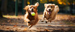 An action-packed photograph of two dogs engaged in a spirited game of fetch in the park. Generative AI