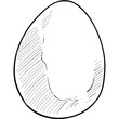 eggs handdrawn illustration