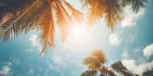 Gazing Up At The Blue Sky And Palm Trees, With A Vintage-style Touch, Creating A Tropical Beach And Summer Background With Sunlights Shimmering And Creating A Defocused Effect