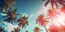 Gazing Up At The Blue Sky And Palm Trees, With A Vintage-style Touch, Creating A Tropical Beach And Summer Background With Sunlights Shimmering And Creating A Defocused Effect