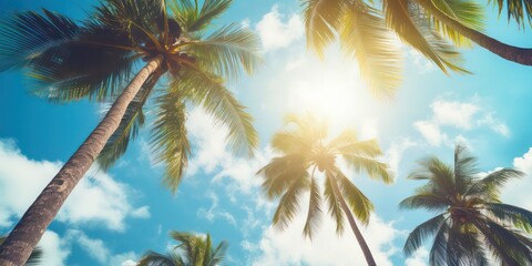 Wall Mural - Gazing up at the blue sky and palm trees, with a vintage-style touch, creating a tropical beach and summer background with sunlights shimmering and creating a defocused effect