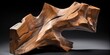 Abstract piece of bark wood