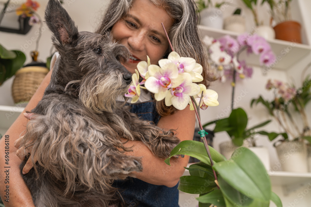 dog-smelling-an-orchid-next-to-its-owner-stock-photo-adobe-stock