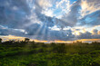 Afternoon sun ray penetrating cloudy sky over tropical fields in Yogyakarta