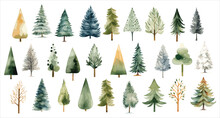 Watercolor Christmas Pine Trees Illustrations Set