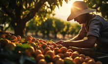 Man Farmer Working In A Fruit Garden.