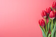 Bright red tulip flowers on side of pink background with copy space