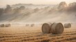 © Usman - Misty morning sunrise with hay bails in a field.