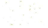Fototapeta Do przedpokoju - Abstract golden confetti falling down bokeh glitter on transparent background. Design for holyday and celebration background.