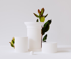 Aufkleber - Object placement white background, 3d rendering white column props podium and leaves.