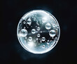 © Ron Dale - Air cell bubbles for cosmetics product on white background. Cellular serum oil drops in water