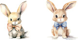 Fototapeta Pokój dzieciecy - watercolor of cute bunny