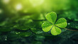 Background with lucky leaf clover for St Patrick's day celebration. Green shamrock wallpaper