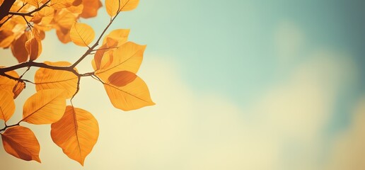 Wall Mural - close up yellow leaves branch with light and bokeh, peaceful Autumn and fall season foliage wallpaper background, Generative Ai