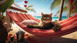 a cat with green eyes lies on the beach on a hammock, looks relaxed into the frame