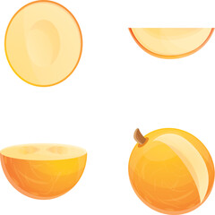 Poster - Fresh melon icons set cartoon vector. Ripe melon. Vegetable, healthy nutrition