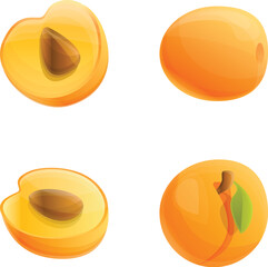 Poster - Apricotte icons set cartoon vector. Fresh ripe fruit. Healthy nutrition