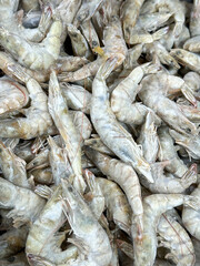 Canvas Print - Gray shrimp on a shelf in a market