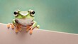 greeting card frog peeking pastel background copy space